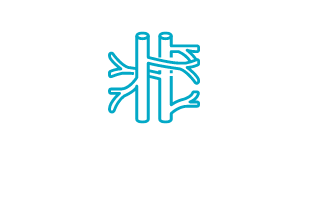 angiologia3